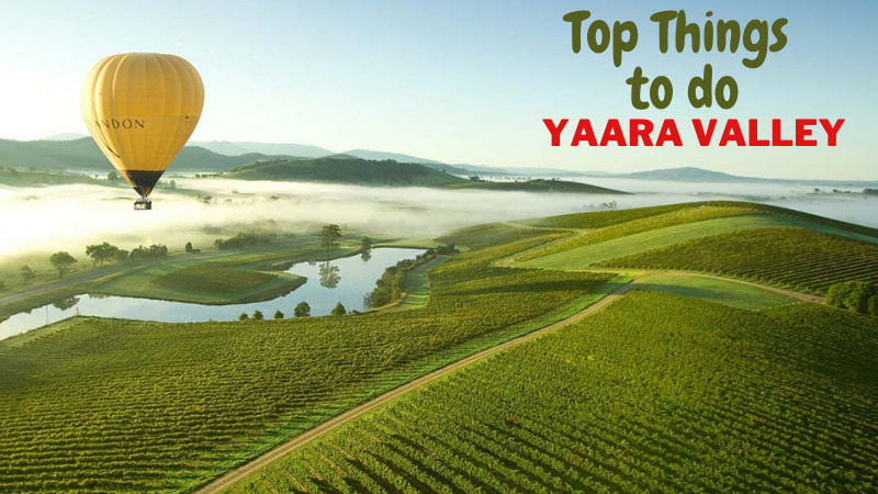 Melbourne to yarra valley Tour