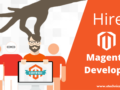 Hire Magento Developer