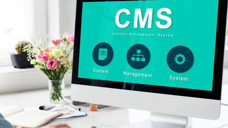 CMS for Your Business website