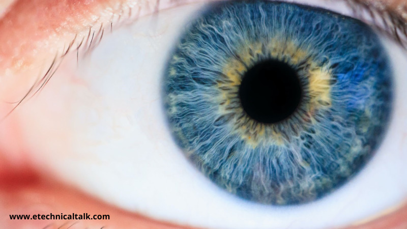 Improve Your Eyesight