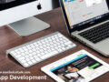 Web App Development